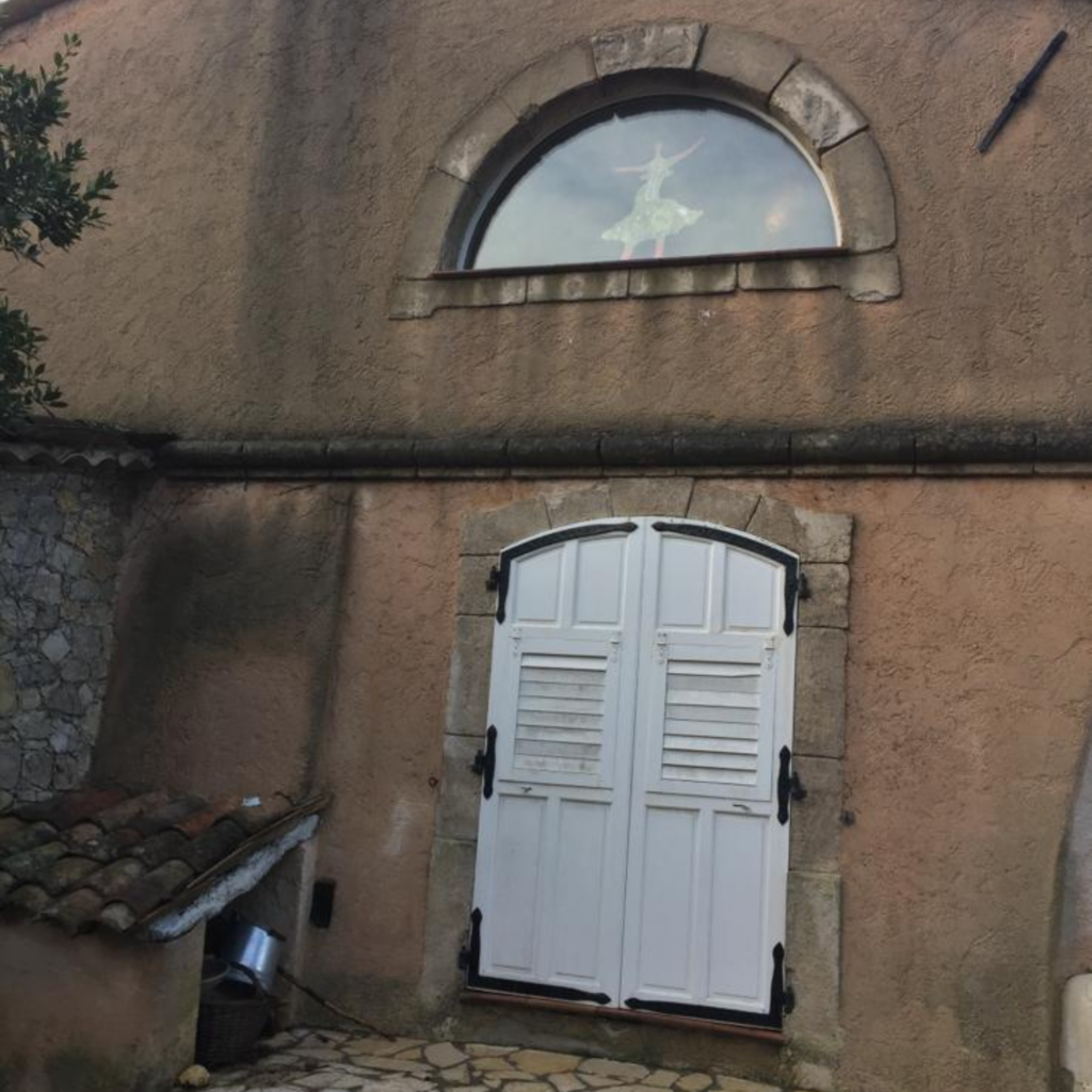 Pourquoi une façade verdit et noircit